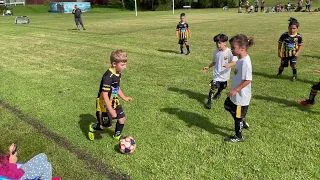 6 year old soccer 2022 under 7s undefeated Earlwood Wanderers