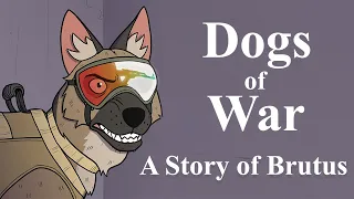 What Happens to a Dog on a Battlefield  |  Comic Dub