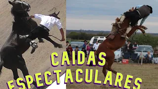 Calor destreza y coraje ,Cuando gana los caballos Caidas espectaculares  #cowboy #Rodeio # Campero