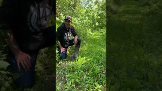 Planting in the Woods Food Plots
