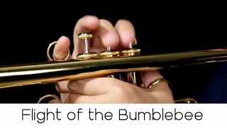 "Flight of the Bumblebee" (Classical Series n.7) - Andrea Giuffredi trumpet