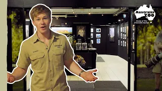 Robert's gallery upgrade | Australia Zoo Life