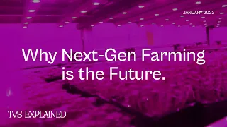 Next Gen Farming is the Future: Vertical Farming