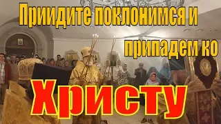 Приидите поклонимся и припадем ко Христу.Божественная литургия в Покровском храме города Минска.