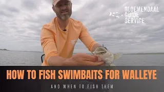 How To Fish Swimbaits for Walleye - And When To Fish Them
