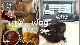 승무원 vlog) 두바이에서 먹고 노는 일상 | 🇲🇾 쿠알라룸푸르와 🇳🇿 오클랜드에서의 호텔콕 기록(먹는 기록) | 저스트댄스, 카레훠궈, 나시르막, 교촌치킨