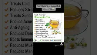 HEALTH BENEFITS OF CHAMOMILE & LAVENDER TEA