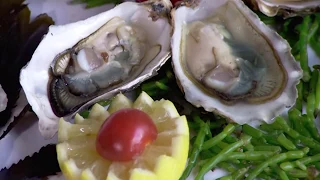 How It's Actually Made - Oysters
