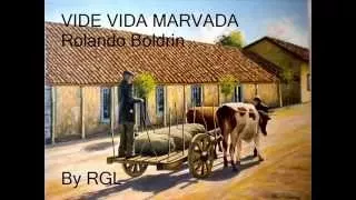 Vide Vida Marvada - Rolando Boldrin By RGL