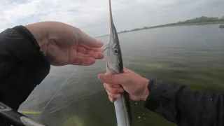 Fiskeri efter Havørred på Stevns maj 2020