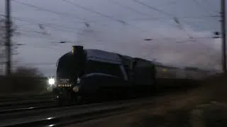 Bittern at 90mph with The Capital Streak