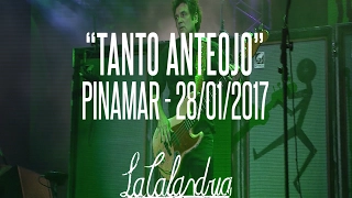 DIVIDIDOS - Tanto Anteojo. Pinamar 28/01/2017