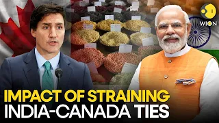 India-Canada row: Canada's lentil sales to India slow after Trudeau's allegations | WION Originals