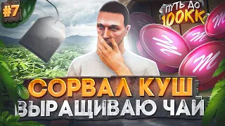 СОРВАЛ БОЛЬШОЙ КУШ! ЛУЧШИЙ ЗАРАБОТОК НА СТАРТЕ СЕРВЕРА - ПУТЬ ДО 100КК #7 в GTA 5 RP / MAJESTIC RP