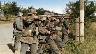 Цветной фотоальбом военкора 1-й бригады СС, снятый при штурме Херсона (Август 1941)