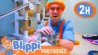 😺 Blippi Visita um Abrigo de Animais! 😺 | 2 HORAS DO BLIPPI BRASIL! | Moonbug Kids em Português