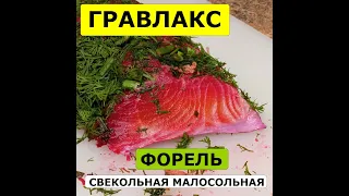 🐠 Гравлакс со свеклой 🐠 Форель малосольная в свекле 🐠 Форель в свекольном маринаде  Рыба со свеклой