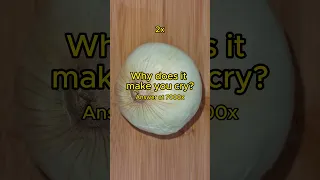 Why Onions Make You Cry?