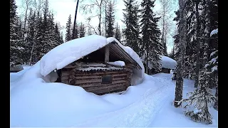 Суровая Тайга. Мотособаки тонут, ломаются, но мы доедем! Таёжный быт.