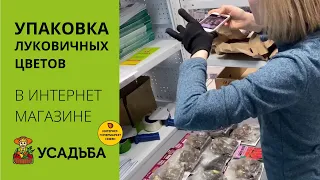 Как упаковывают ЛУКОВИЧНЫЕ ЦВЕТЫ🌷в интернет-магазине