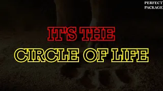 The Lion King (2019) - Circle Of Life (Lyric Video)