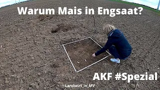 AKF Maisanbau  Spezial Unterschied Engsaat  oder 75cm Reihenabstand?