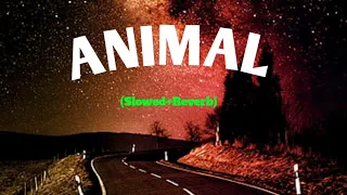 ANIMAL: Saari Duniya Jalaa Denge (Film Version) Ranbir K, Bobby D, Sandeep, B Praak,Jaani, Bhushan K