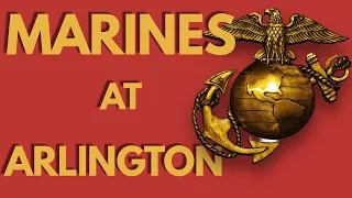 Veterans Day in Arlington | Honoring Marines