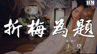 小墜 - 折梅爲題『跌進哪一片舊時月色』【動態歌詞Lyrics】