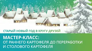 Мастер-класс: от раннего картофеля до переработки и столового картофеля