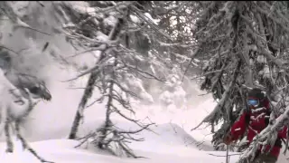 Skiing into trees "literally"