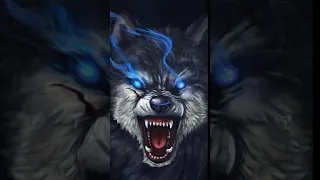 ice wolf Video Wallpaper