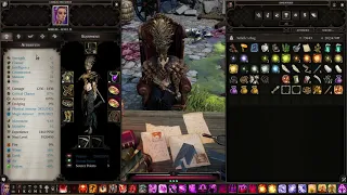 Divinity Original Sin 2 DE | Solo honour mode necromancer build.