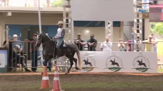 Campeã das Campeãs Égua CBM 2022