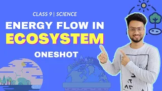 Energy Flow In An Ecosystem Class 9 | Full chapter | Maharashtra State Board