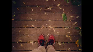 Footsteps on Wooden Floor Sound Effect