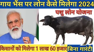 गाय भैंस पर लोन कैसे लें 2024 | Pashu loan kaise le | pashupalan loan | how to apply cow bufflo loan