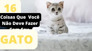 16 Coisas Que Você Nunca Deve Fazer Ao Seu Gato.#cat