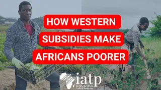 How Western Subsidies Make Africans Poorer