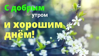 С добрым весенним утром!!!