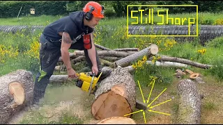 Chainsaw tips , How to Buck Logs on the Ground