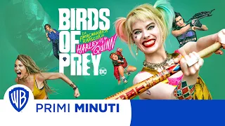 Primi Minuti | Birds of Prey (e la fantasmagorica rinascita di Harley Quinn)