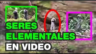 seres elementales captados en video