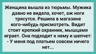 Женщина Вышла из Тюрьмы и Подкатила к Охраннику! Сборник Свежих Смешных Жизненных Анекдотов!