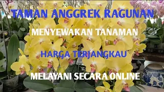 TAMAN ANGGREK RAGUNAN SEWAKAN TANAMAN, BISA LAYANI ONLINE