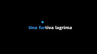 Donizetti: Una Furtiva Lagrima (L'Elisir d'Amore) | Karaoke with Lyrics for Tenor | Instrumental