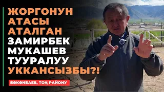 200 миллион долларлык жылкы | жарышта утулбаган ат | 38 унаа уткан жорго | Замирбек Мукашев