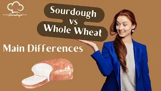 Sourdough vs Whole Wheat