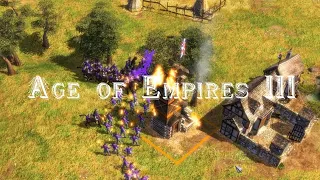 Age of Empires 3 - Турнир C | Осень 2023