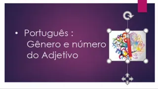 Português - Gênero e número do adjetivo